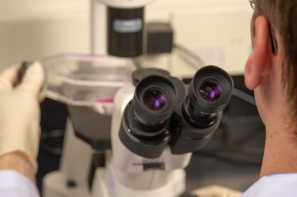 Researcher At Microscope